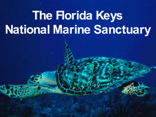 fl_keys_tf320.jpg